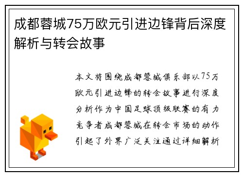 成都蓉城75万欧元引进边锋背后深度解析与转会故事